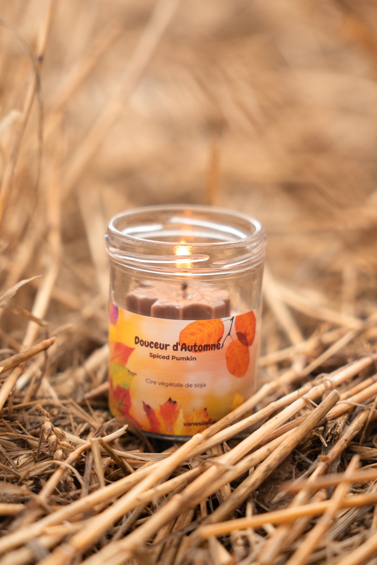 Bougie Spiced Pumpkin Douceur d’Automne- Feuille