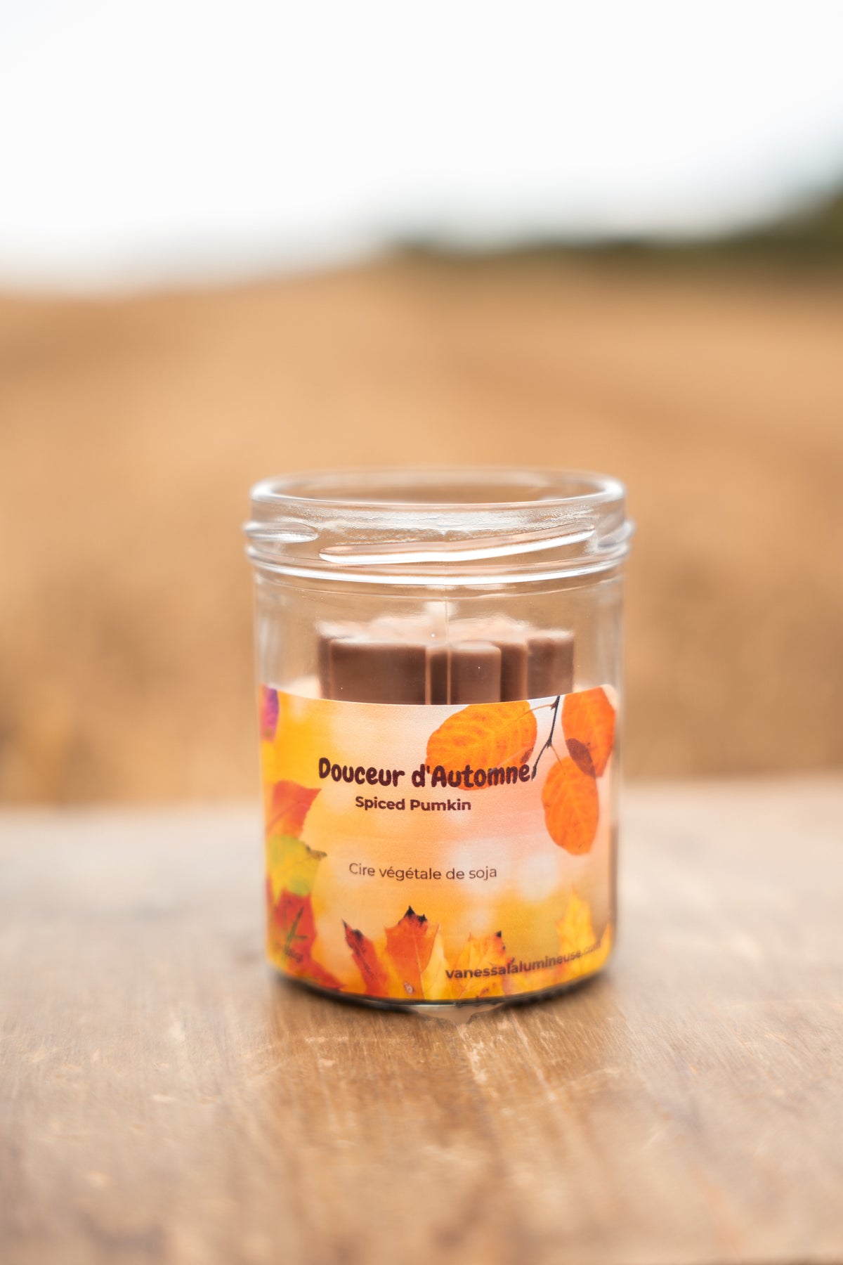 Bougie Spiced Pumpkin Douceur d’Automne- Feuille
