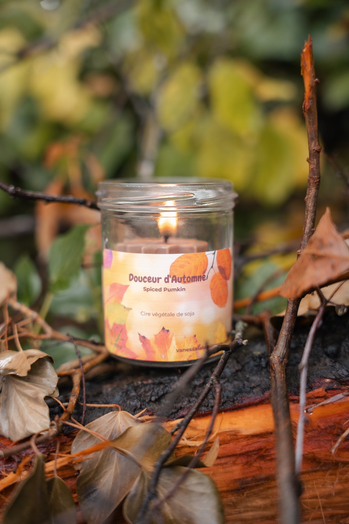 Bougie Spiced Pumpkin Douceur d’Automne- Feuille