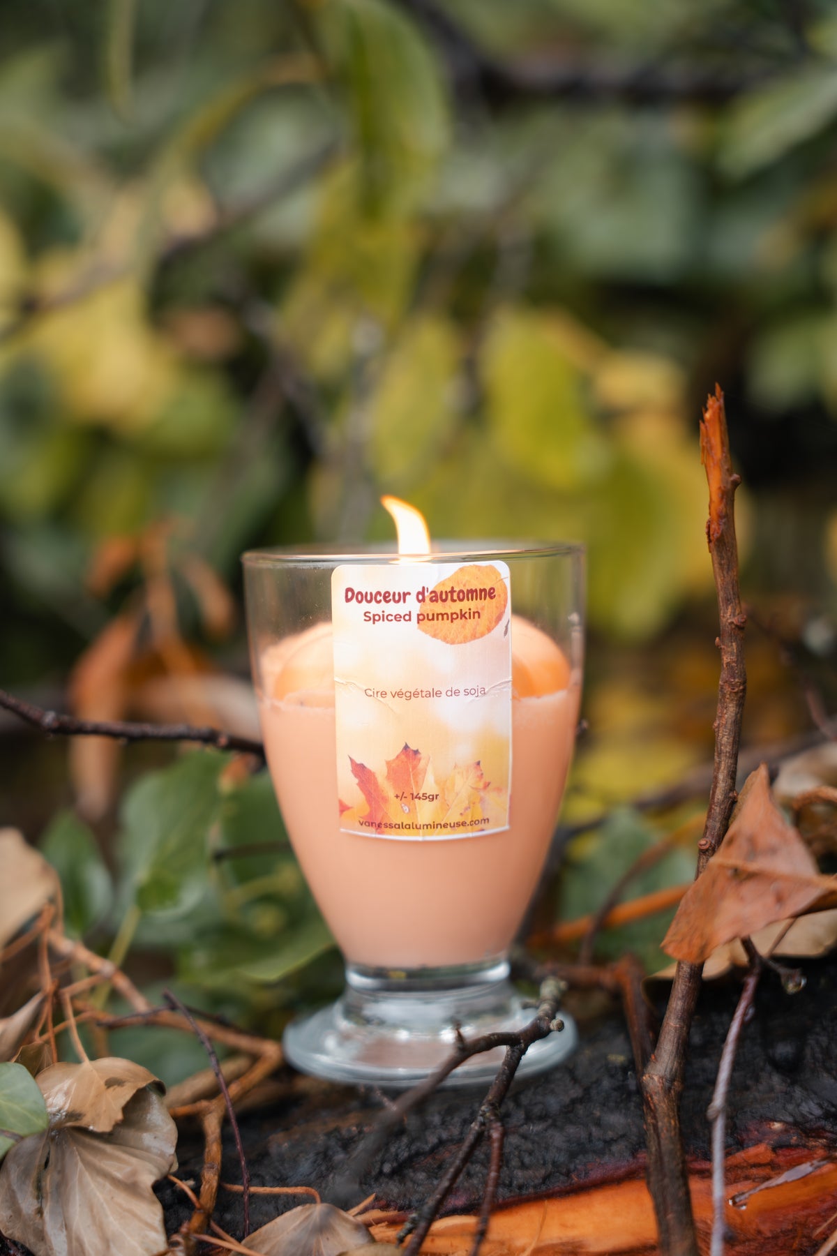 Bougie Spiced Pumpkin Douceur d’Automne- Citrouille