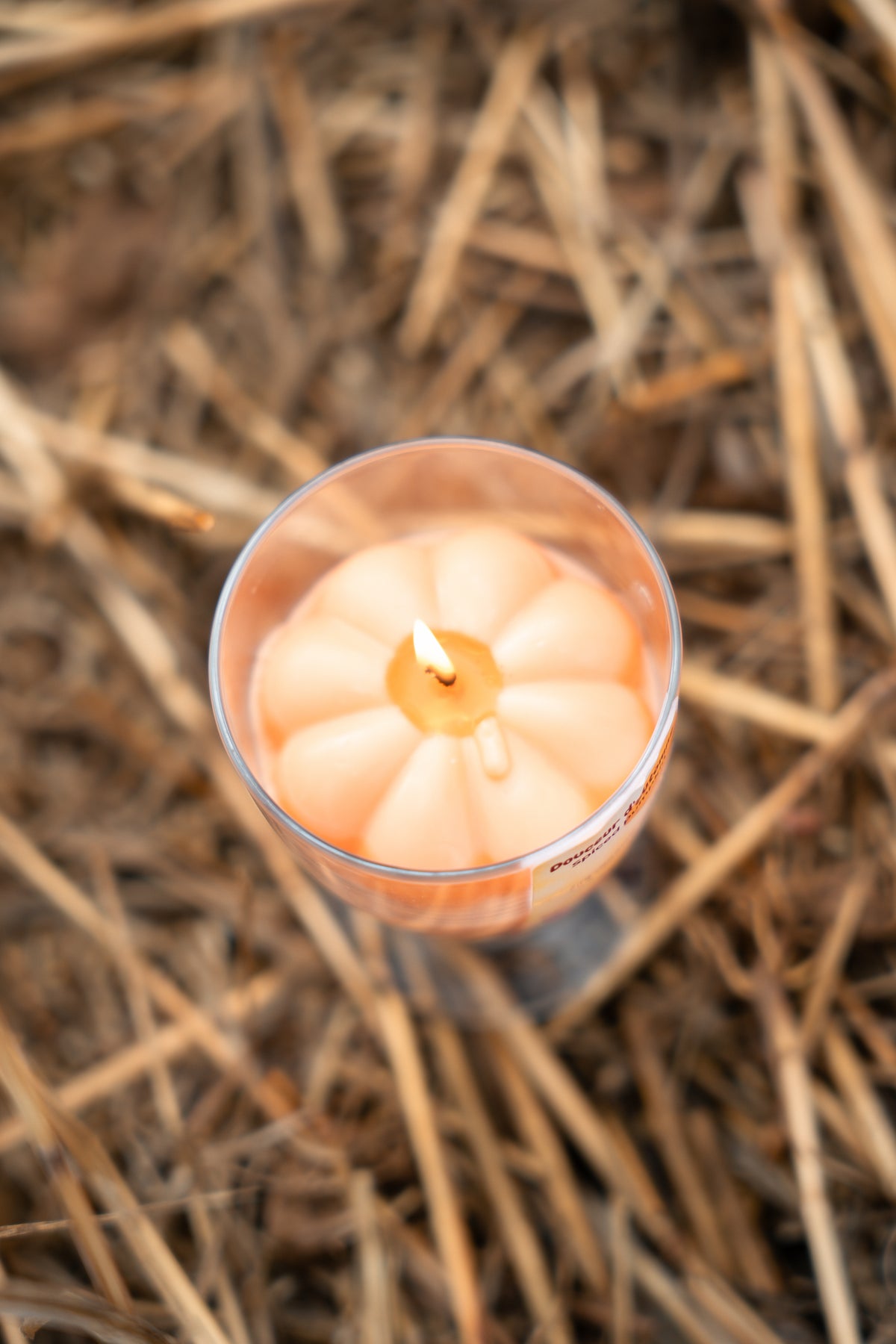 Bougie Spiced Pumpkin Douceur d’Automne- Citrouille