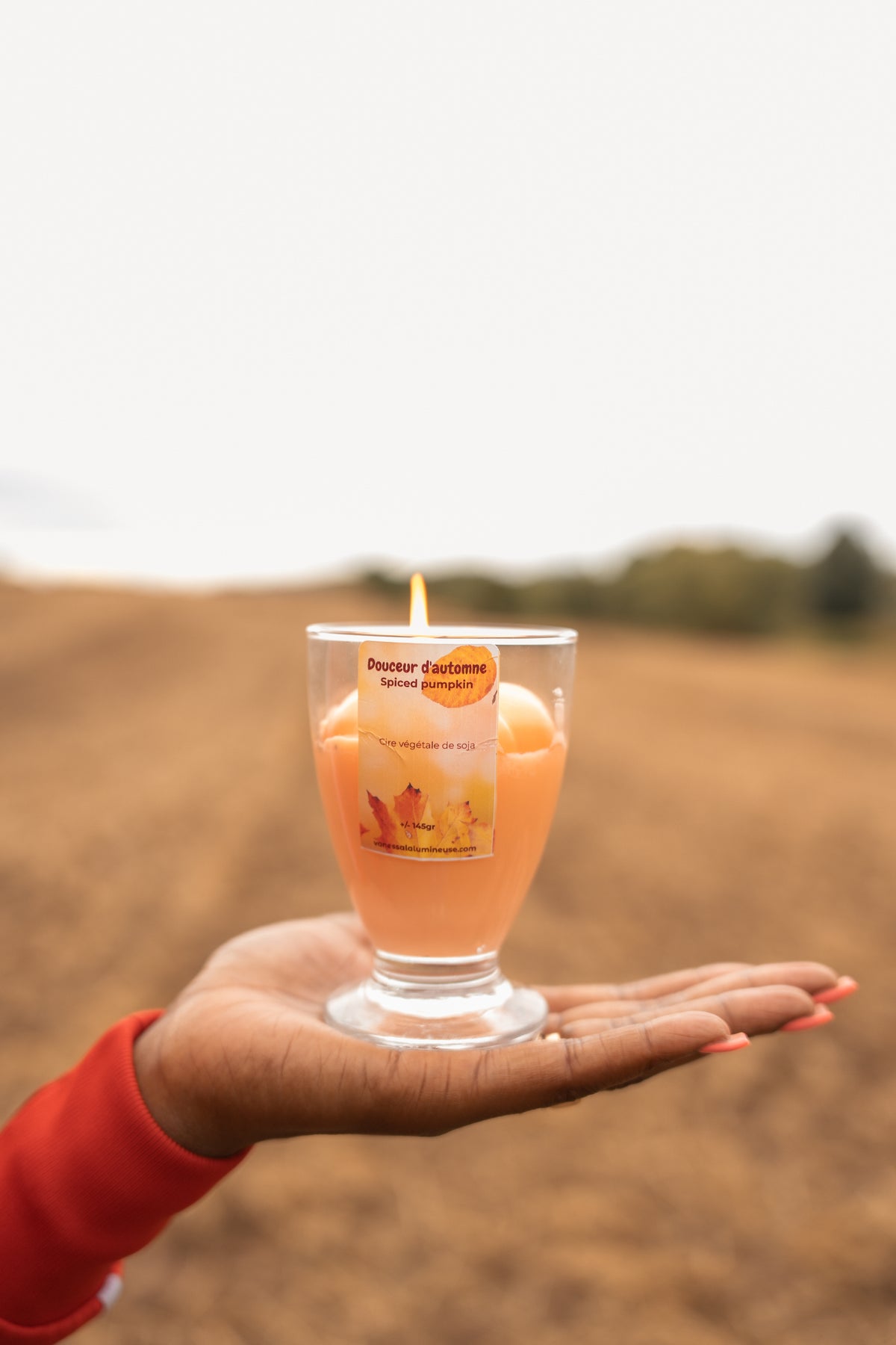 Bougie Spiced Pumpkin Douceur d’Automne- Citrouille